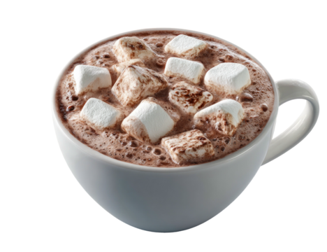 Hot chocolate with marshmallows in a white mug (5)
