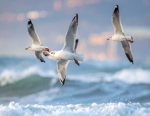 Three Gulls Soar Over Turbulent