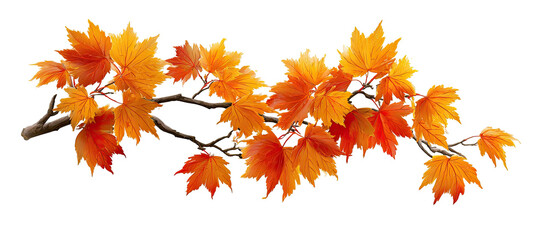 Autumnal maple branch with vibrant foliage