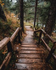 Wooden Steps with Fallen Leaves in Forest - Mountain Trail Landscape