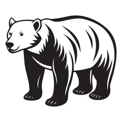 bear