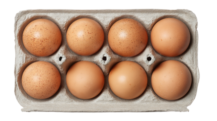chicken egg in carton paper box top view isolated on white background