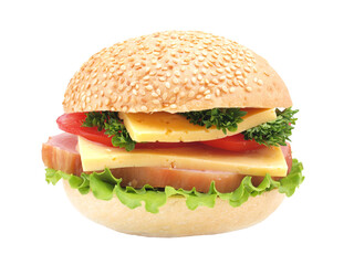 Hamburger isolated on white