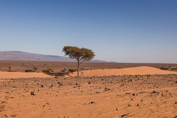 Anti-Atlas Mountains in Morocco – dramatic rocky landscape and desert scenery in North Africa © PawelUchorczak