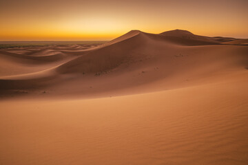 Golden dunes of the Sahara Desert in Morocco at sunset – scenic sand landscape with waves of dunes and dramatic light in North Africa
