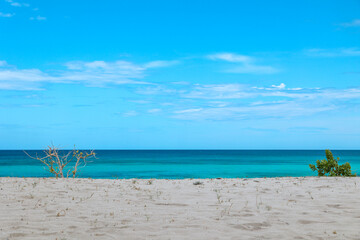 Beautiful, deserted Caribbean beach near the border with Haiti. Tranquil, crystal clear, turquoise Caribbean sea. Peaceful vacation, nobody. Contrast with bush branches in the foreground. Copy space. 