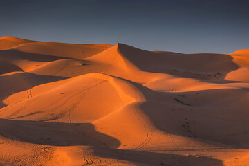 Naklejka premium Golden dunes of the Sahara Desert in Morocco at sunset – scenic sand landscape with waves of dunes and dramatic light in North Africa
