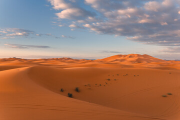 Golden dunes of the Sahara Desert in Morocco at sunset – scenic sand landscape with waves of dunes and dramatic light in North Africa