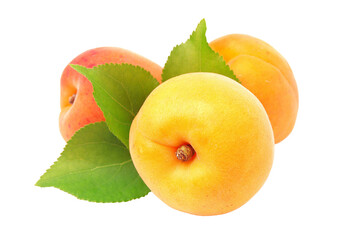 Apricots with leaves isolated