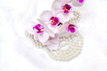 The branch of white orchids on white fabric background
