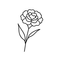 Simple flower line drawing on transparent background