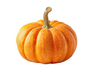 Obraz premium Close-up of a small, vibrant orange pumpkin