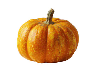 Fototapeta premium Close-up of a small, round orange pumpkin