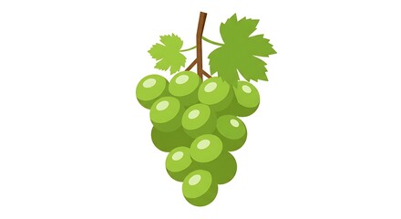 Fresh Green Grapes Bunch Isolated On White Background.