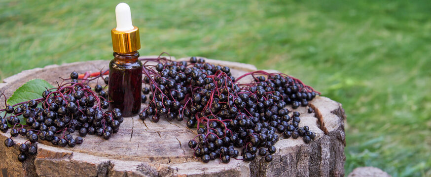 Folk medicine and natural black elderberry syrup on a wooden stump. Elderberry tincture