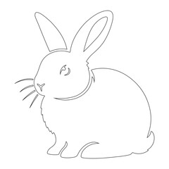 rabbit