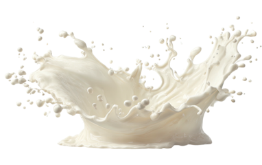 A creamy milk splash against a black background