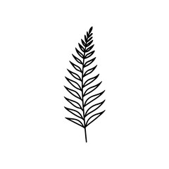 Fototapeta premium Simple fern leaf outline on transparent background