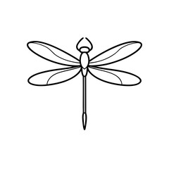 Outline drawing dragonfly on transparent background