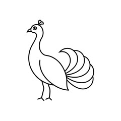 Simple peacock line drawing on transparent background