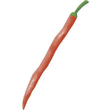 chilli illustration