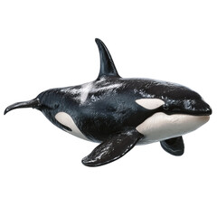 Png of orca isolated on transparent background, also known as killer whale, is a toothed whale belonging to the oceanic dolphin family
