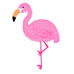 手書き、フラミンゴ