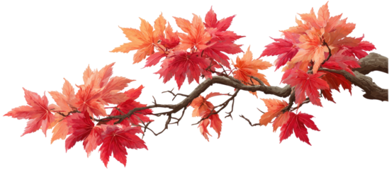 Autumn maple branch