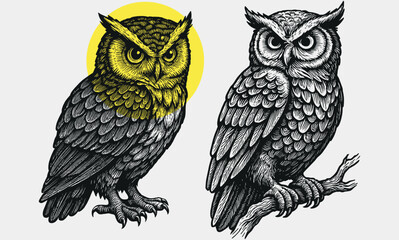 Vintage Owl Illustration – Engraved Forest Birds with Yellow Circle Accent