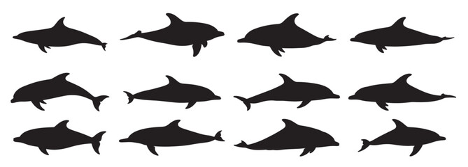 dolphins silhouette white background vector illustration