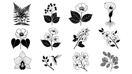 Black and White Botanical Illustrations – Minimalist Floral and Plant Vector Set