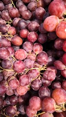 Close Up of Fresh Red Grapes