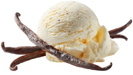 Creamy vanilla ice cream scoop atop two vanilla bean pods
