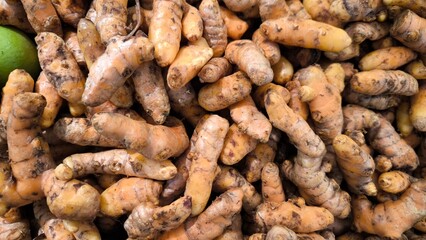 Close-Up of Fresh Turmeric Roots