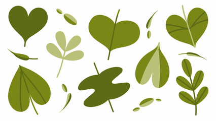 Fototapeta premium Assorted Green Leaf Illustrations on White Background Botanical Study Beautiful Artistic Display Isolated Leaves Nature Illustration