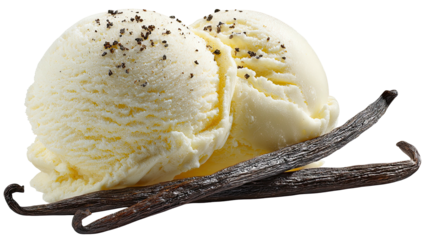 Two scoops of vanilla ice cream with vanilla beans (1)