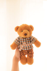 Teddy Bear Held High: A charming plush teddy bear, dressed in an attractive patterned outfit, is being held up in a heartwarming scene, evoking feelings of joy and simplicity.