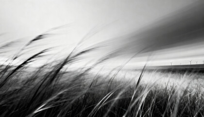 Obraz premium Black and white abstract motion blur of windswept grass. Wind turbines on the horizon. Concept for renewable energy, sustainability, wind power, nature, and clean electricity.