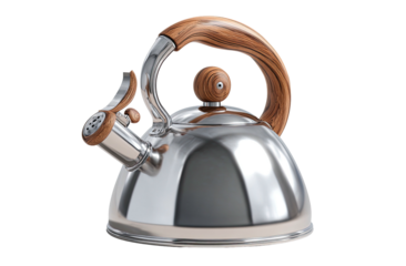 Stainless steel kettle with wood handle