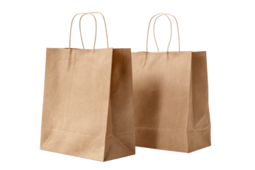 Two brown paper shopping bags (1)