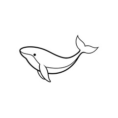 Whale outline simple art on transparent background
