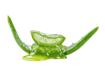 Close-up of aloe vera slices and gel