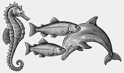 Retro Engraved Illustration of Seahorse and Dolphin in Black Vintage Etching Style © Dmytro Chub