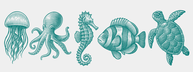 Vintage Etching of Jellyfish, Seahorse, Fish and Turtle in Green Engraving Style © Dmytro Chub