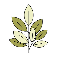 Stylized plant branch with alternating light green and pale yellow leaves botanical nature