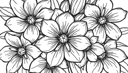 Minimilist detailed line art illustration of a cluster of flowers with prominent petals and central details design vector