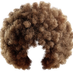 Close-up of a textured afro hairstyle