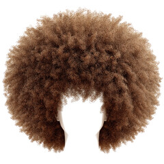 Close-up of a large afro hairstyle