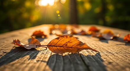 Autumn leaves scattered on a wooden surface with sunlight filtering through trees in the background