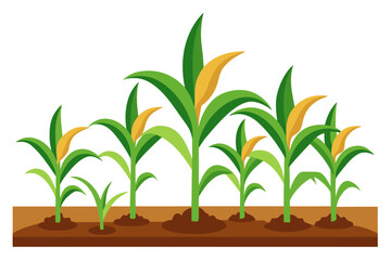 vector illustration of a plant